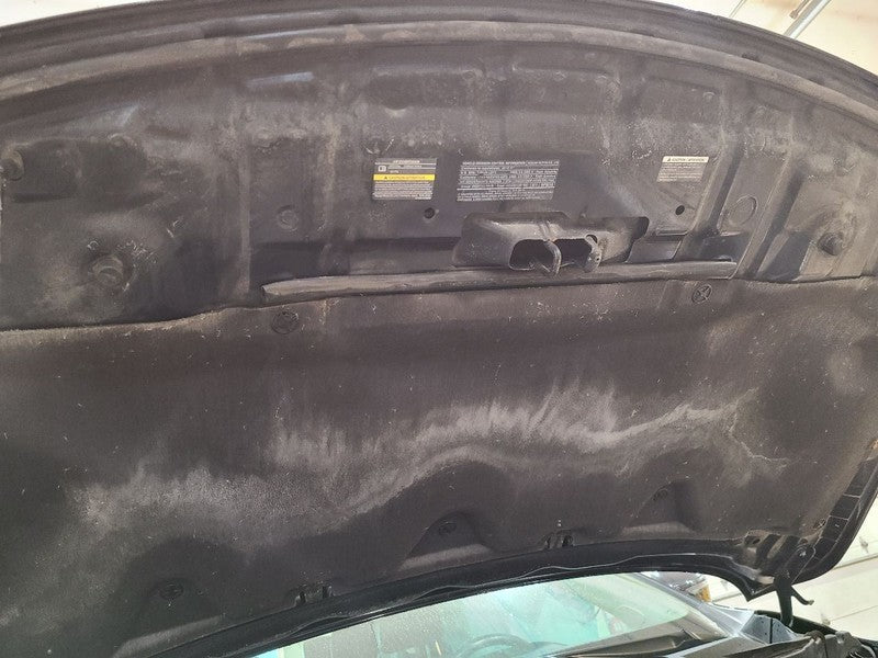 Hood Fits 17-20 PATHFINDER 663454