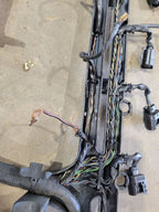 SPRINTV25 2006 Engine Wire Harness 672584