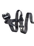 FLEX      2018 Seat Belt Rear 598460