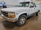FRONT DAKOTA    1994 Passenger Side Retractor Seat Belt Front 565810