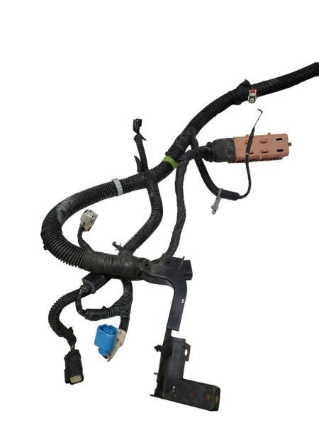 ESCALAESV 2017 Lamp Wiring Harness 590734