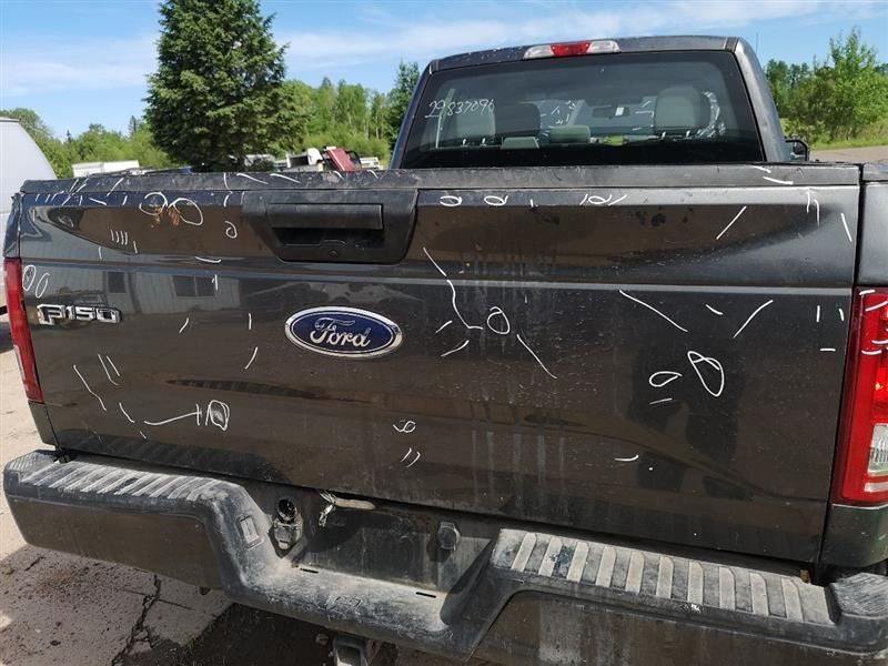 Trunk/Hatch/Tailgate Without Tailgate Step Fits 15-17 FORD F150 PICKUP