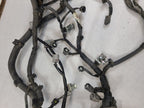 OUTLAN SP 2017 Engine Wire Harness 610735