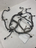 OUTBAKLEG 2018 Engine Wire Harness 651568
