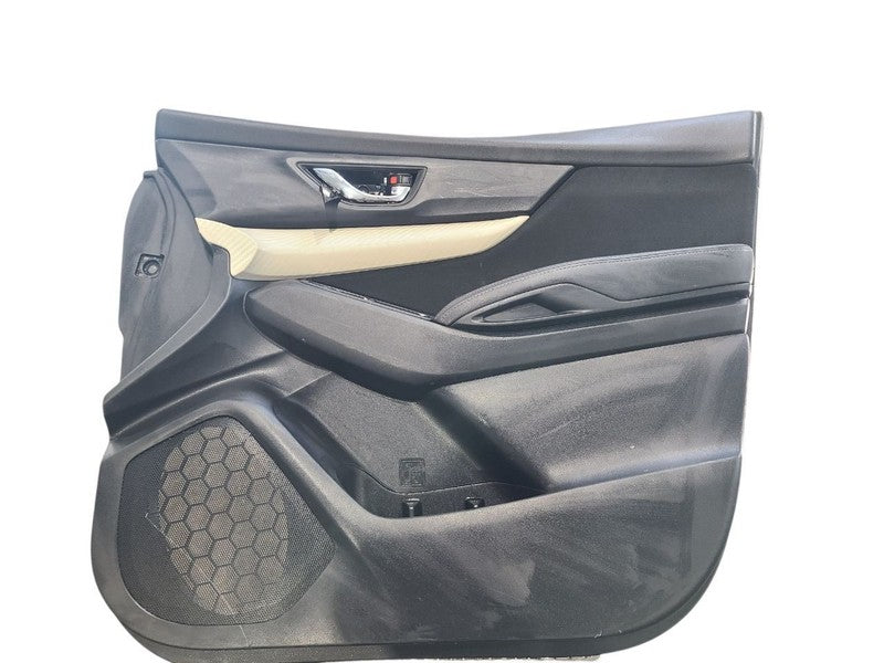 ASCENT    2019 Front Door Trim Panel 658170