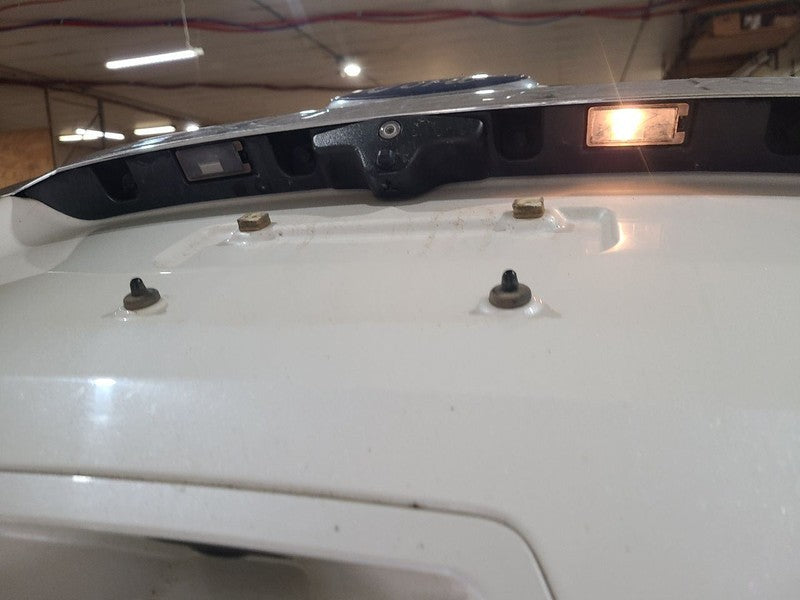 Trunk/Hatch/Tailgate Limited Fits 16-19 EXPLORER 666144