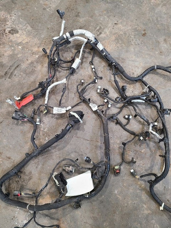 ESCAPE    2022 Engine Wire Harness 615125
