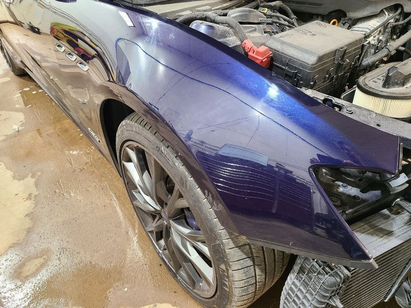 GHIBLI    2019 Fender 664893