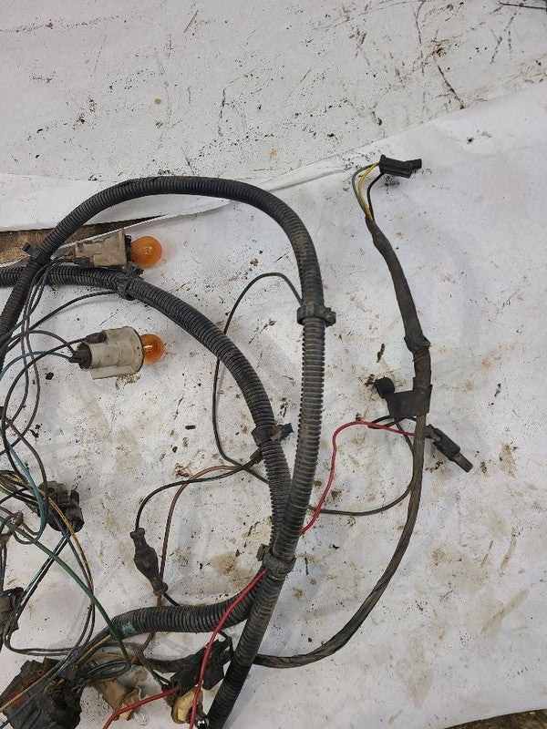 VEGA      1975 Lamp Wiring Harness 617207