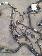 ESCAPE    2022 Engine Wire Harness 615125