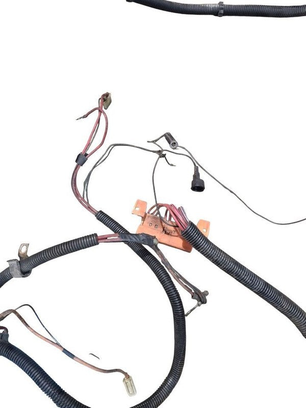 CUSTOM-SW 1978 Lamp Wiring Harness 647945