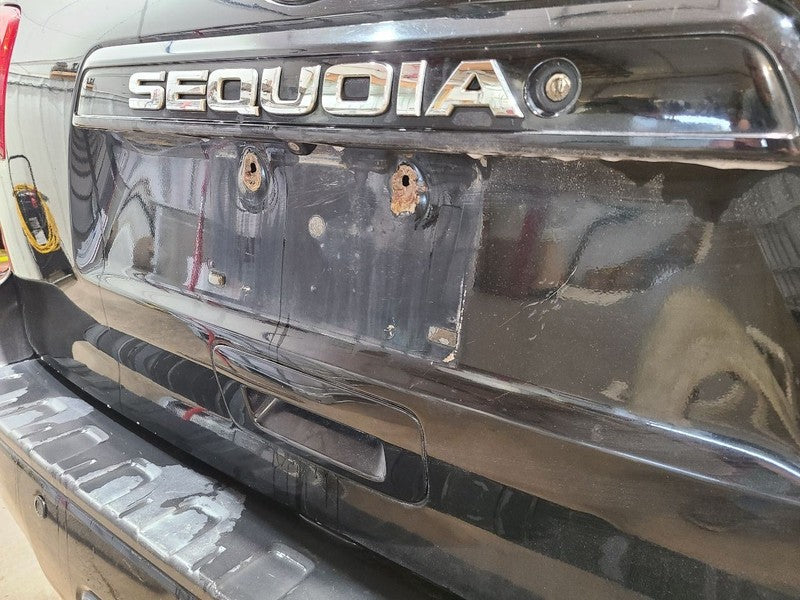 Trunk/Hatch/Tailgate Spoiler Manual Lift Fits 08-17 SEQUOIA 678178