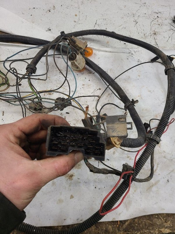 VEGA      1975 Lamp Wiring Harness 617207