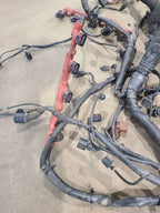 A8 AUDI   2009 Engine Wire Harness 670939