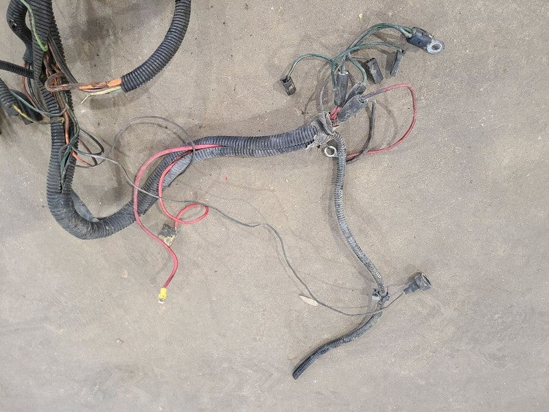 GRAND-WAG 1991 Engine Wire Harness 679048