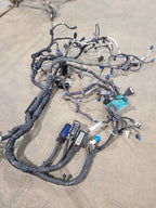 XT4       2019 Engine Wire Harness 629379
