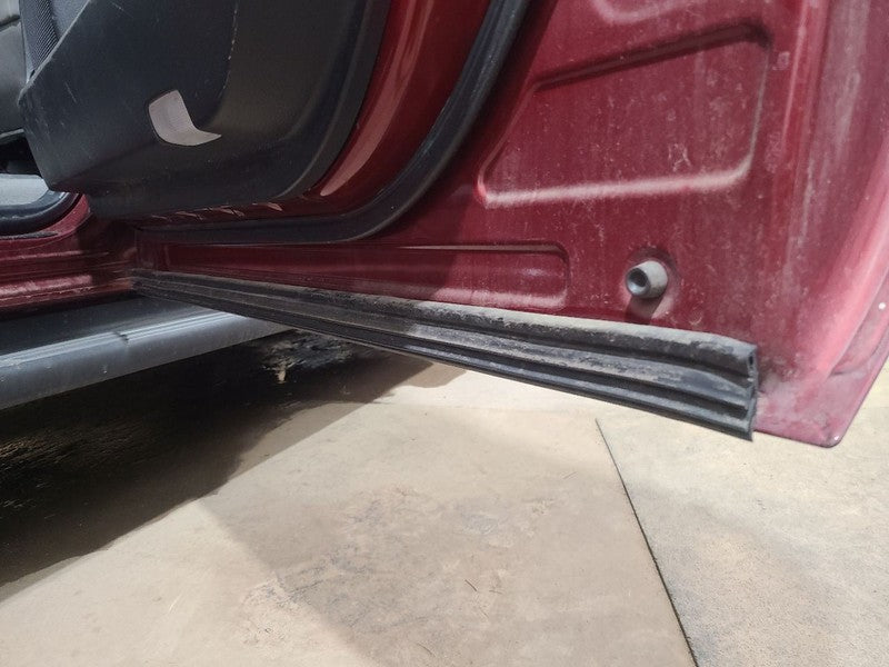 Passenger Rear Side Door Crew Cab 4 Door Fits 07-21 TUNDRA 656760