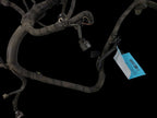 OUTBAKLEG 2011 Engine Wire Harness 652213