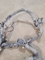RAM15NEW  2019 Lamp Wiring Harness 660218
