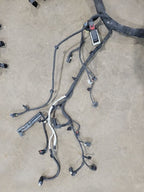 ENCOREGX  2025 Engine Wire Harness 679820