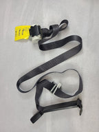 SIERRA250 2011 Seat Belt Rear 611845