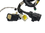 RENEGADE  2020 Engine Wire Harness 595931
