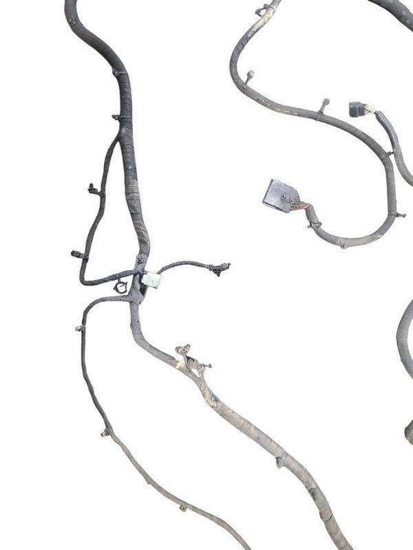 RAM3500   2020 Lamp Wiring Harness 641256