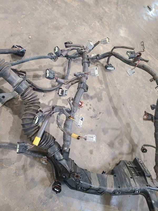 SEQUOIA   2005 Engine Wire Harness 664287