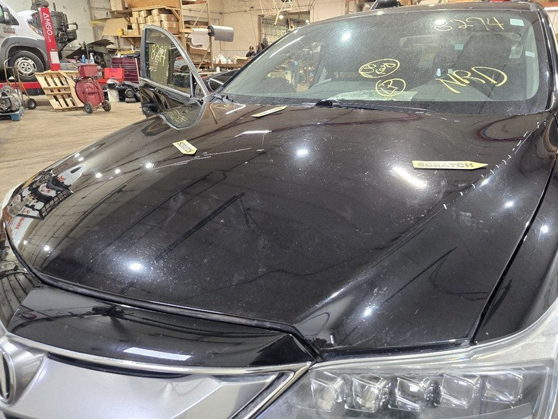 Hood Fits 16-18 ILX 619126