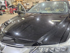 Hood Fits 16-18 ILX 619126