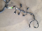 TRANSIT25 2016 Engine Wire Harness 673973