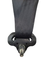 JUKE      2014 Seat Belt Rear 598331