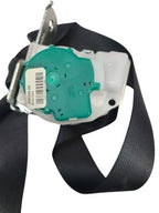 MAXIMA    2016 Seat Belt Rear 599793