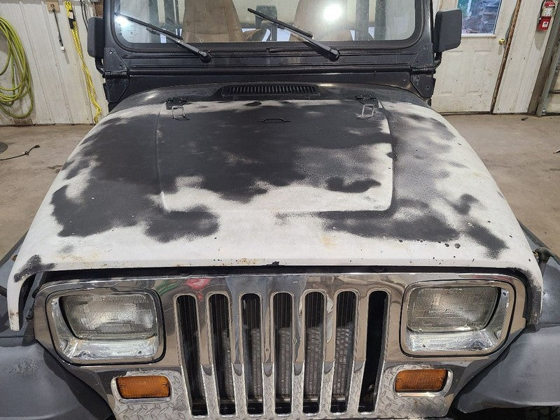 Hood Fits 87-95 WRANGLER 676909