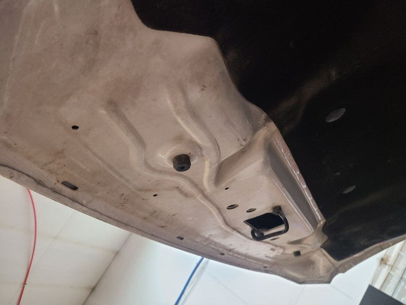 Hood Fits 07-17 EXPEDITION 664521