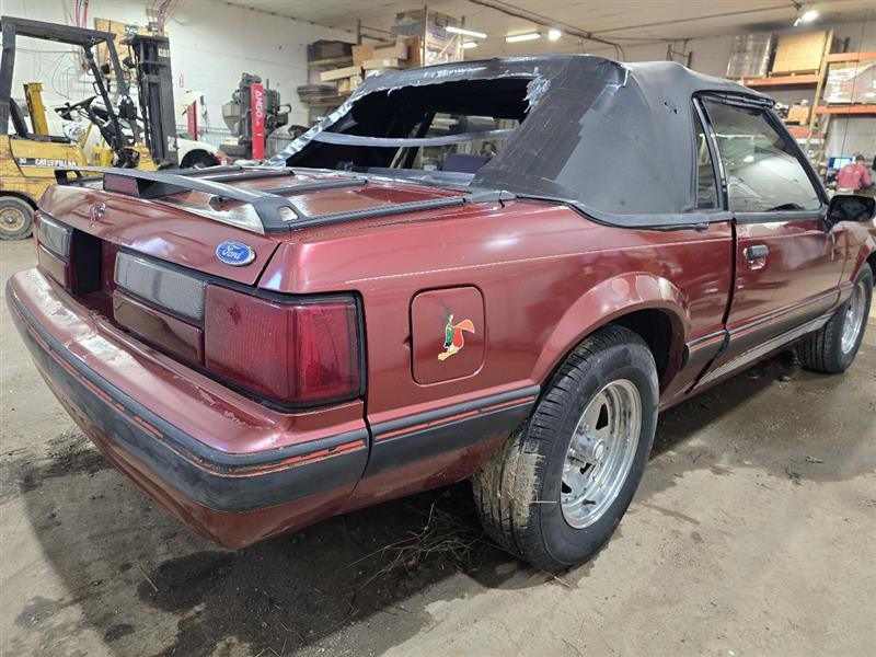 FRONT MUSTANG   1990 Driver's Side Retractor Seat Belt Front 576917