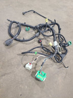 WRANGENEW 2018 Lamp Wiring Harness 662099