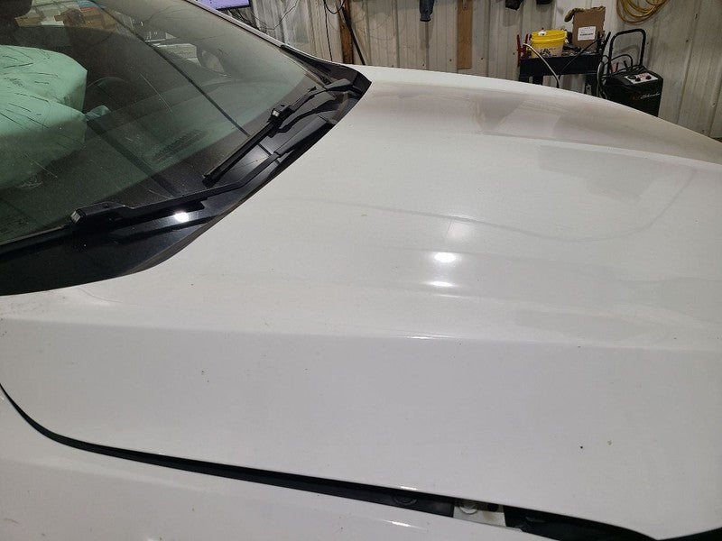 Hood Fits 20-25 ENCORE GX 679758