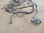 RAM3500   2010 Lamp Wiring Harness 673471