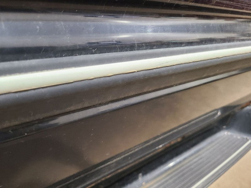 RAM1500   1996 Door Moulding Front 662840