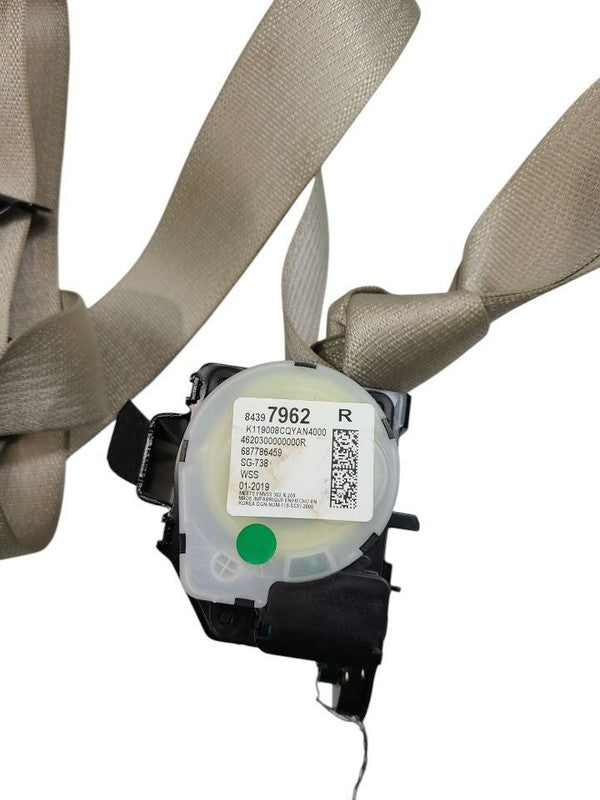ENVISION  2019 Seat Belt Rear 621506