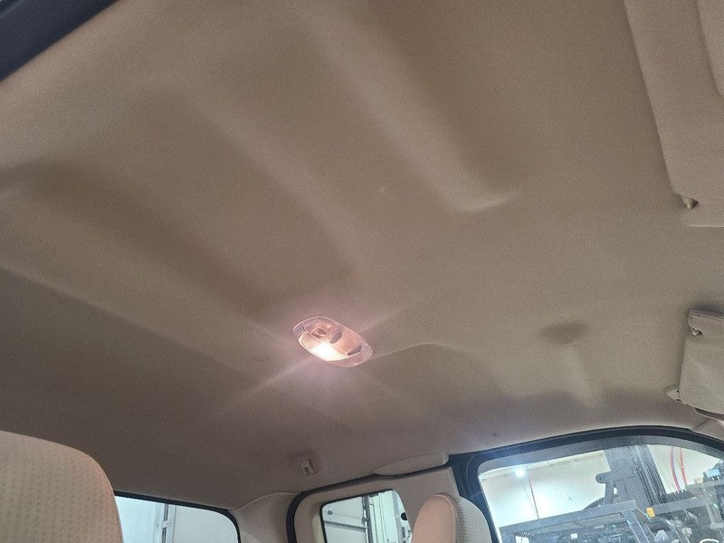 F250SD    2010 Headliner 650332