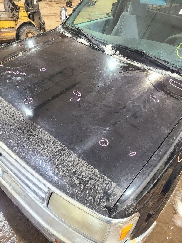 Hood Fits 93-98 T100 653979