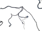 RAM3500   2003 Lamp Wiring Harness 641777