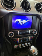 MUSTANG   2020 Front Door Trim Panel 663533