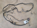 GRAND-WAG 1991 Lamp Wiring Harness 679047