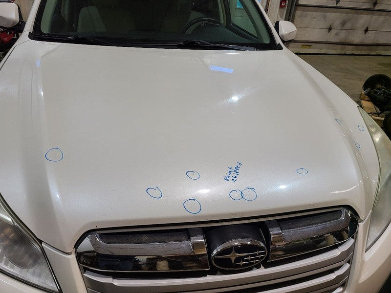 Hood Fits 10-14 LEGACY 664697