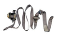 TACOMA    2002 Seat Belt Rear 670596