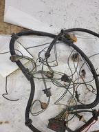 VEGA      1975 Lamp Wiring Harness 617207