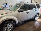 Back Glass 3 Holes In Glass Privacy Tint Fits 08-12 ESCAPE 659125
